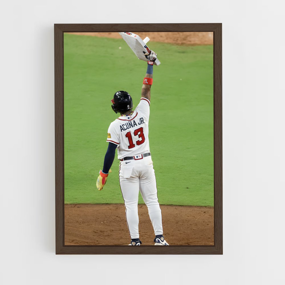 Poster L'Héritier du Terrains – affiche Baseball (vue 5)